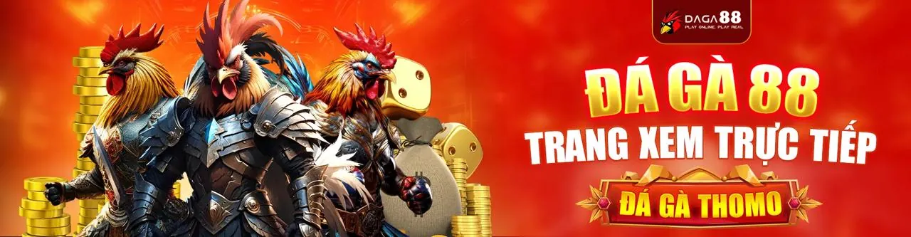 Sân đấu đá gà trực tuyến kịch tính tại 999win nhà cái