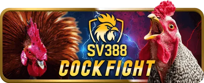 Thưởng sinh nhật và chương trình VIP